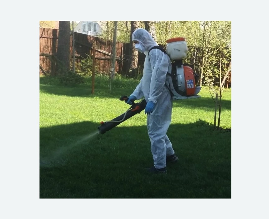 Обработка территории от клещей в Кировске