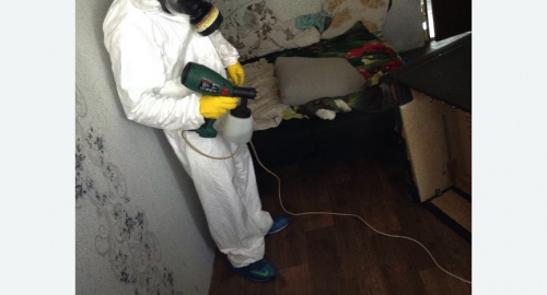 Обработка квартир от насекомых в Кировске