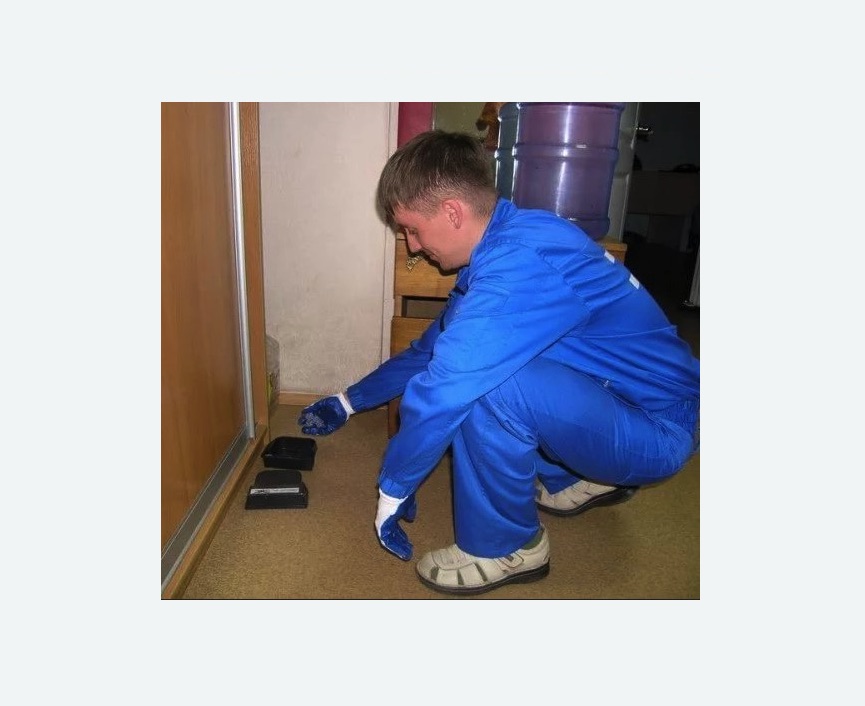 Дератизация крыс в Кировске