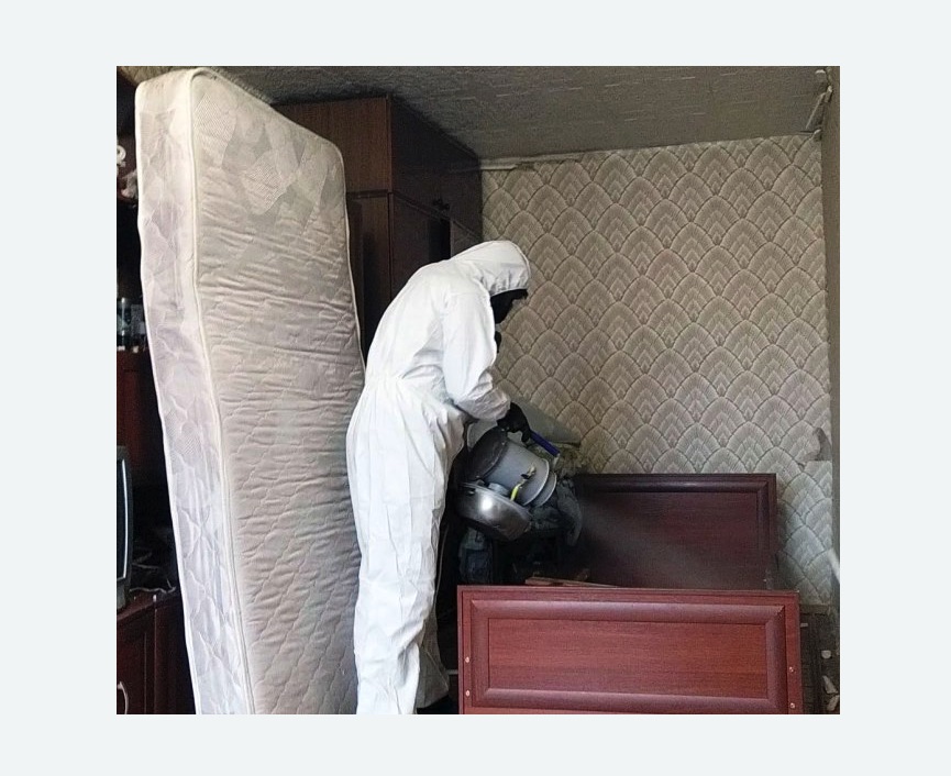 дезинфекция от клопов в Кировске