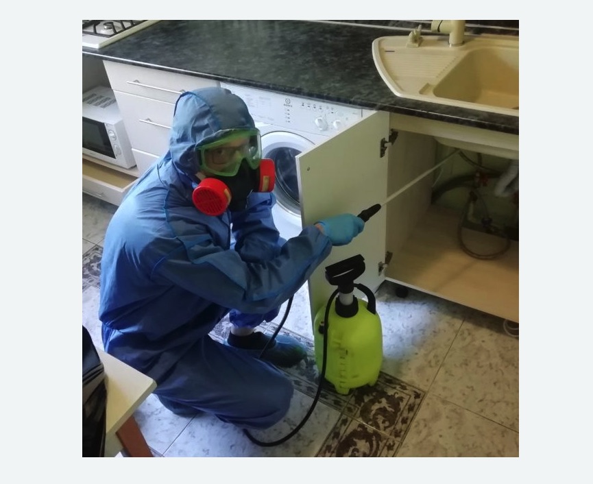 обработка от муравьев в квартире в Кировске