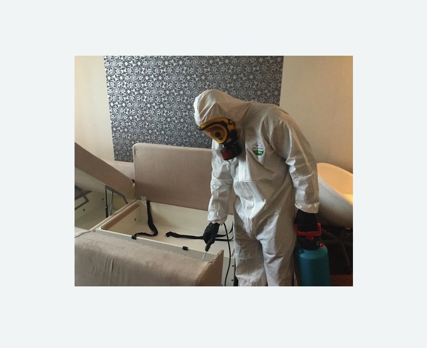 уничтожение клопов в квартире в Кировске