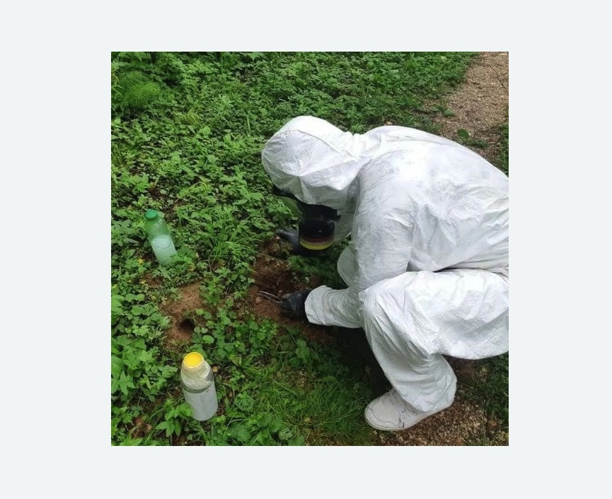 уничтожение кротов на участке в Кировске